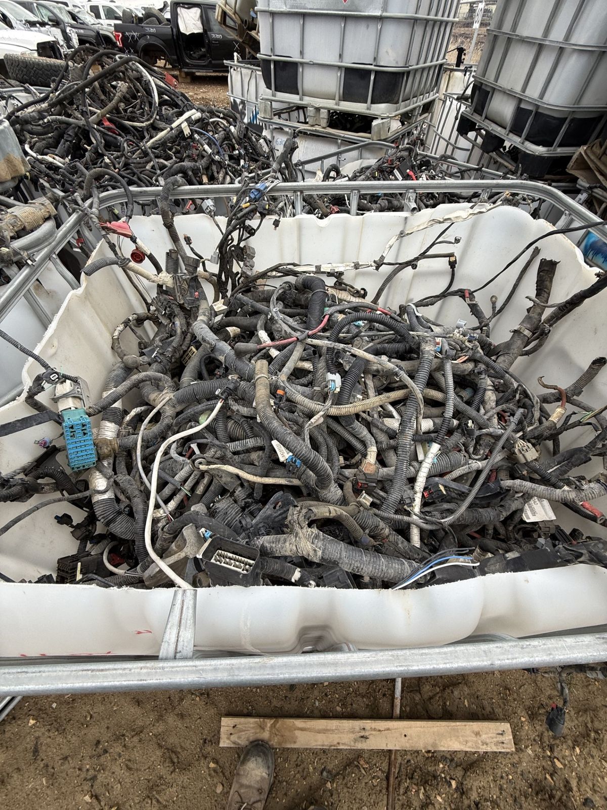 Harness Wire photographed at a SMASH auction